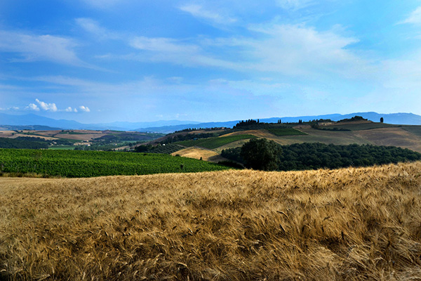 Val d'Orcia La Canonica
