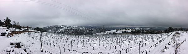 La Mamoiada in inverno