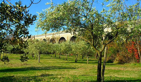 Agriturismo Radovic