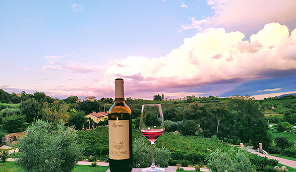 Vino azienda Pegoraro