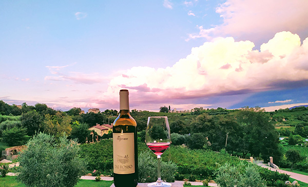 Veduta azienda Pegoraro