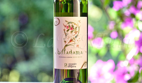 Romagna Albana Secco Belladama 2019 Poggio della Dogana