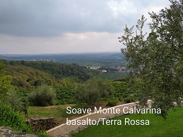 Monte Calvarina