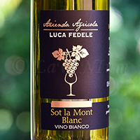 Sot la Mont Blanc Luca Fedele