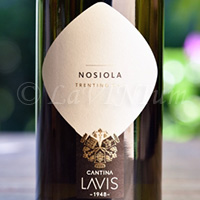 Trentino Nosiola 2019 La-Vis