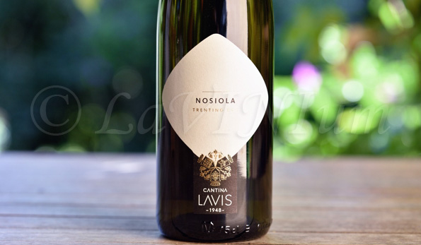 Trentino Nosiola 2019 Cantina Lavis