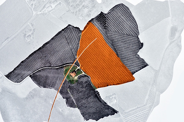 Vigneto Quattro Bastioni