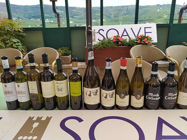I Soave in degustazione