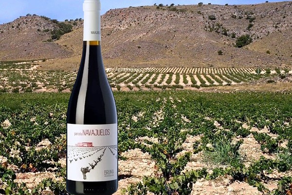 ”Parcela Navajuelos” Bruma del Estrecho de Marín 2017 Bodegas Viña Elena