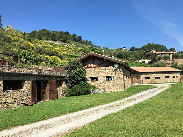 Azienda Agricola Altavia