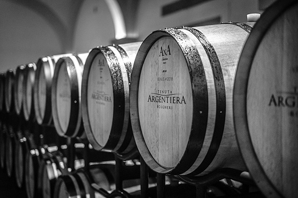 Botti Tenuta Argentiera