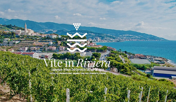Vite in Riviera