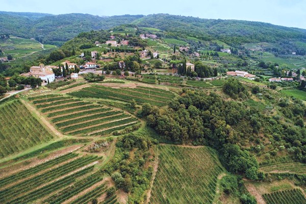 Vigneti Lamole di Lamole