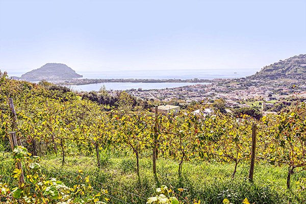 Cantine del Mare