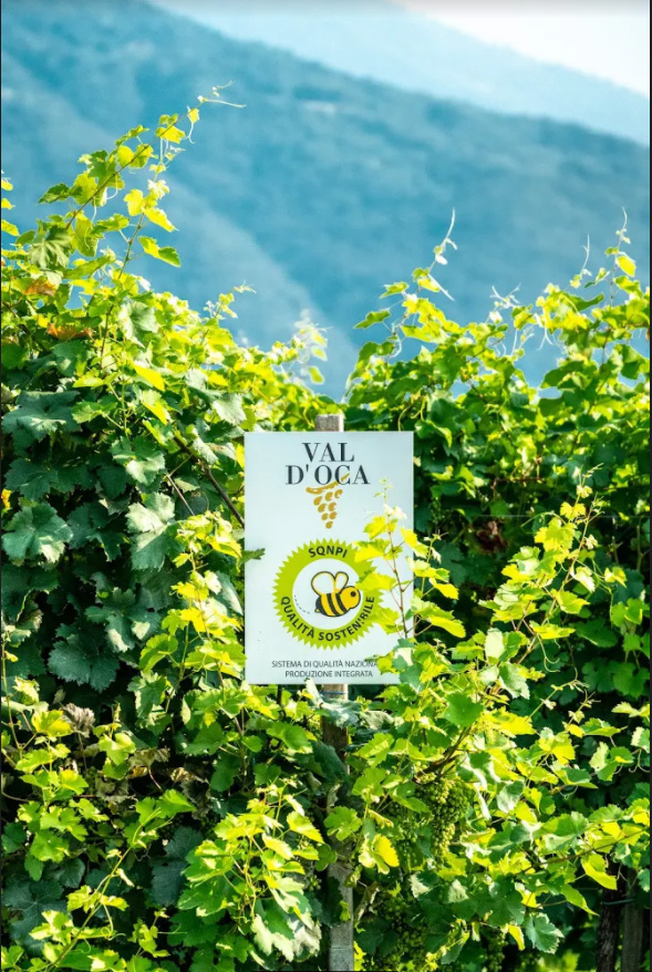 cartello certificazione SQNPI