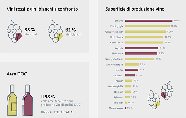 Confronto vini bianchi e rossi dell'Alto Adige