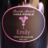 https://www.lavinium.it/vino_nel_bicchiere/emily-extra-dry-luca-fedele/