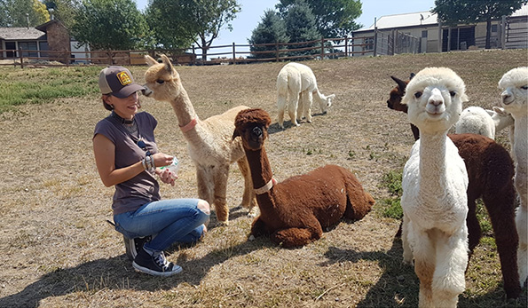 Hilary Antonelli fra gli Alpaca