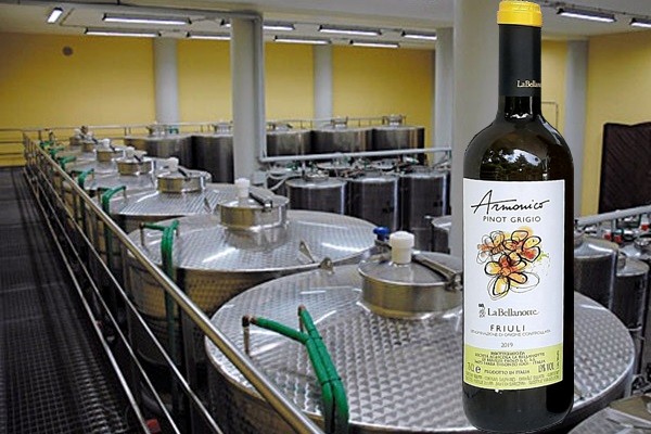 Friuli Pinot Grigio Armonico 2019