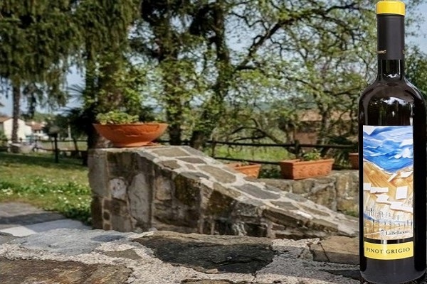 Collio Pinot Grigio 2019