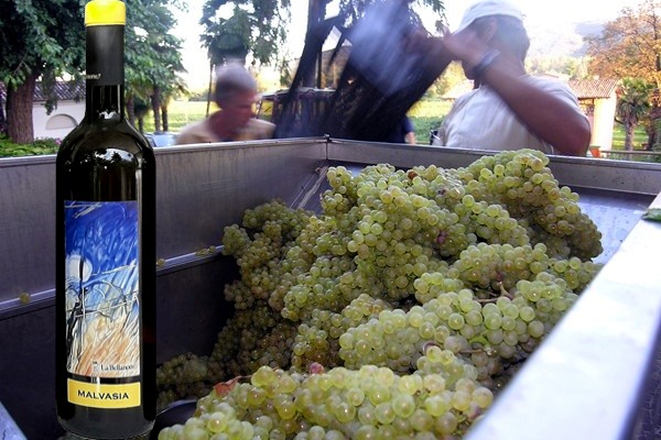 Friuli Malvasia 2017