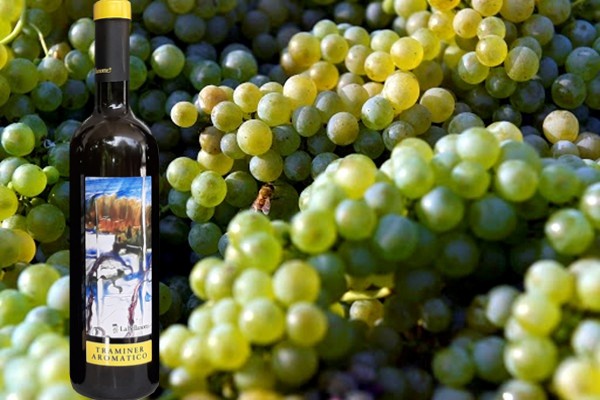 Friuli Isonzo Traminer Aromatico 2019