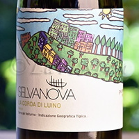 La Corda di Luino Bianco 2019 Selvanova
