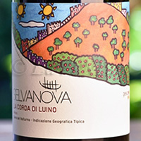 La Corda di Luino Rosso 2019