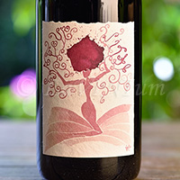 Langhe Barbera Robur Vitae 2018 Luigi Vico