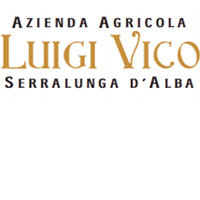 Logo Luigi Vico