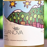 Londro Bianco Frizzante 2019 Selvanova