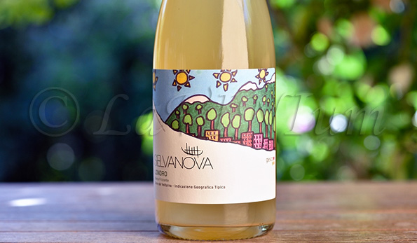 Londro Bianco Frizzante 2019 Selvanova
