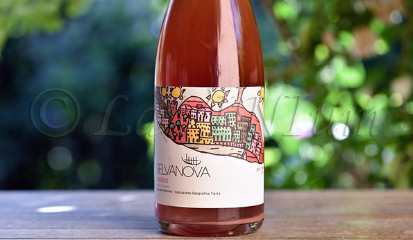 Londro Rosato Frizzante 2019 Selvanova