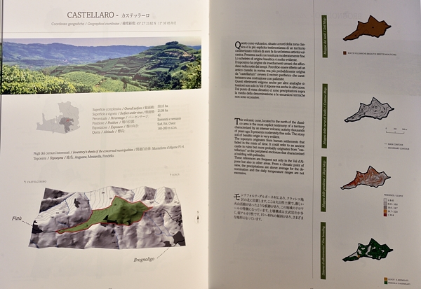 Pagina interna del volume Soave Terroir