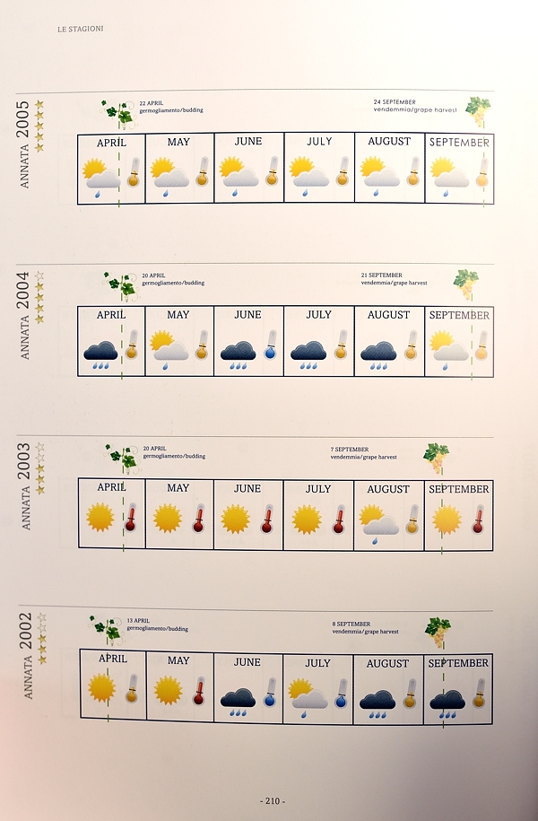 Le stagioni del Soave