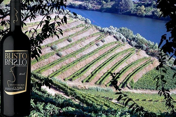 Busto Touriga Nacional Grande Escolha Doc Douro 2014