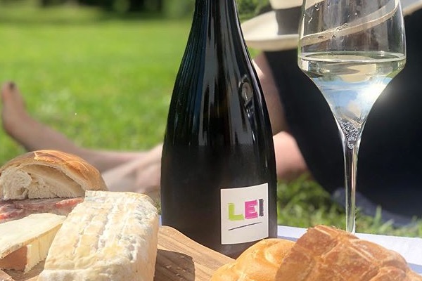 LEI vendemmia 2016 sboccatura 2019