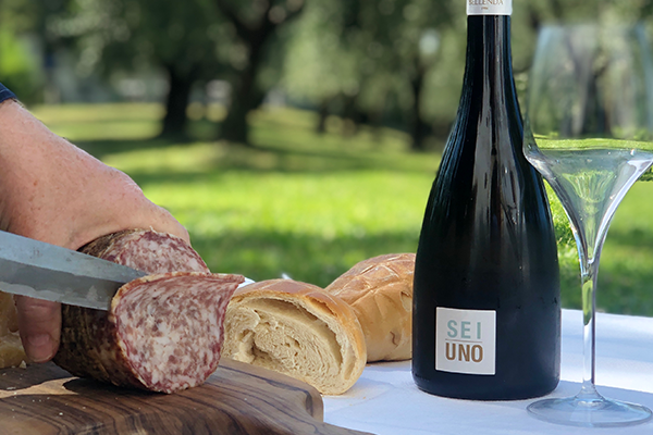 Sei Uno vendemmia 2017