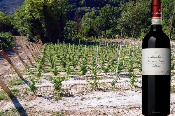 Barbera d'Asti Valdevani 2019