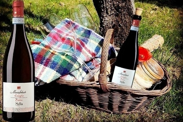 Langhe Freisa vivace Sylla 2019