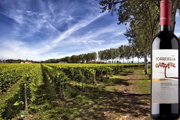 Refosco dal Peduncolo Rosso 2017 Cantine Torresella