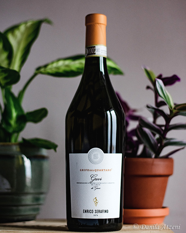 Gavi di Gavi Grifo del Quartaro 2019