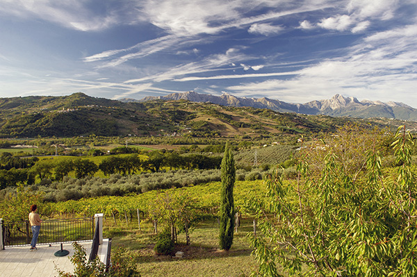 La tenuta Cerulli Spinozzi vista dalla Cascina