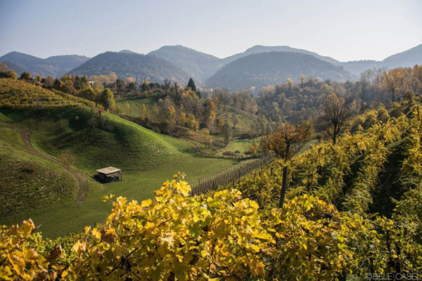 Monfumo a novembre 2017