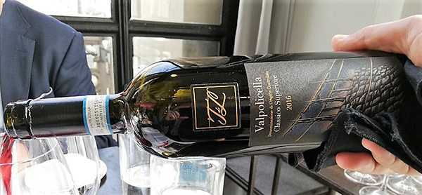 Valpolicella Classico Superiore 2016 Terre di Leone