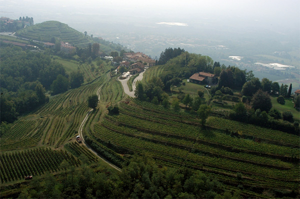Vigneti e agriturismo