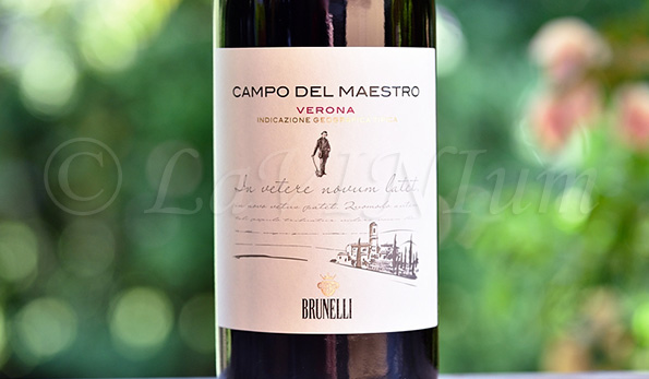 Campo del Maestro 2017 Brunelli
