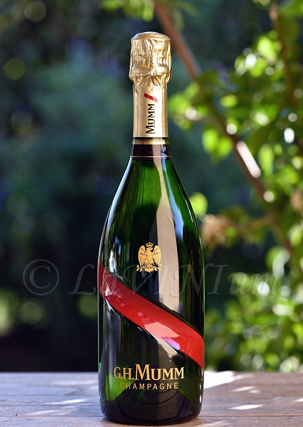 Champagne MGC Brut G.H.Mumm