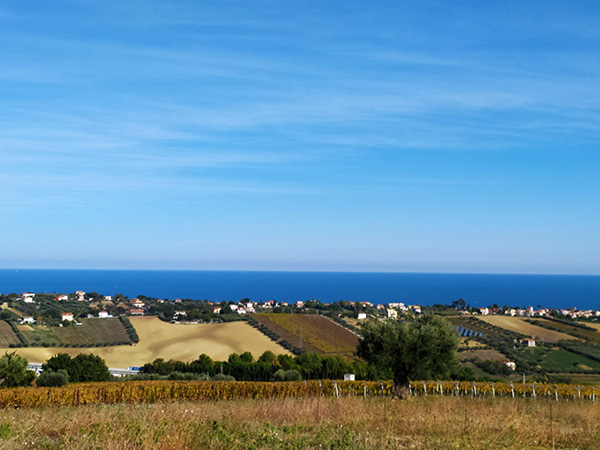 La costa adriatica