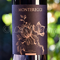 Montereggi Cabernet Sauvignon 2018 Villa Bibbiani